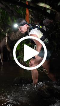 BIB:  <button type="button" onclick="openModal(27565175)" class="btn btn-primary btn-sm float-right" data-toggle="modal" data-target=".modal-high-quality">
                <i class="fa fa-download"></i> Download
                </button>